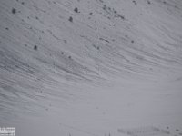 2018-01-13 M. Orsello 341
